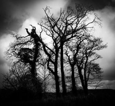 An Amazing Opportunity at Falmouth University’s Haunted Landscapes Conference